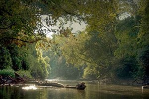 Conservación