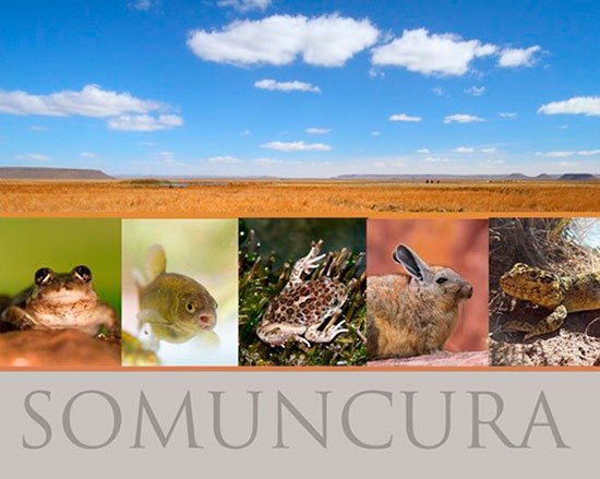 Reserva Provincial Somuncurá